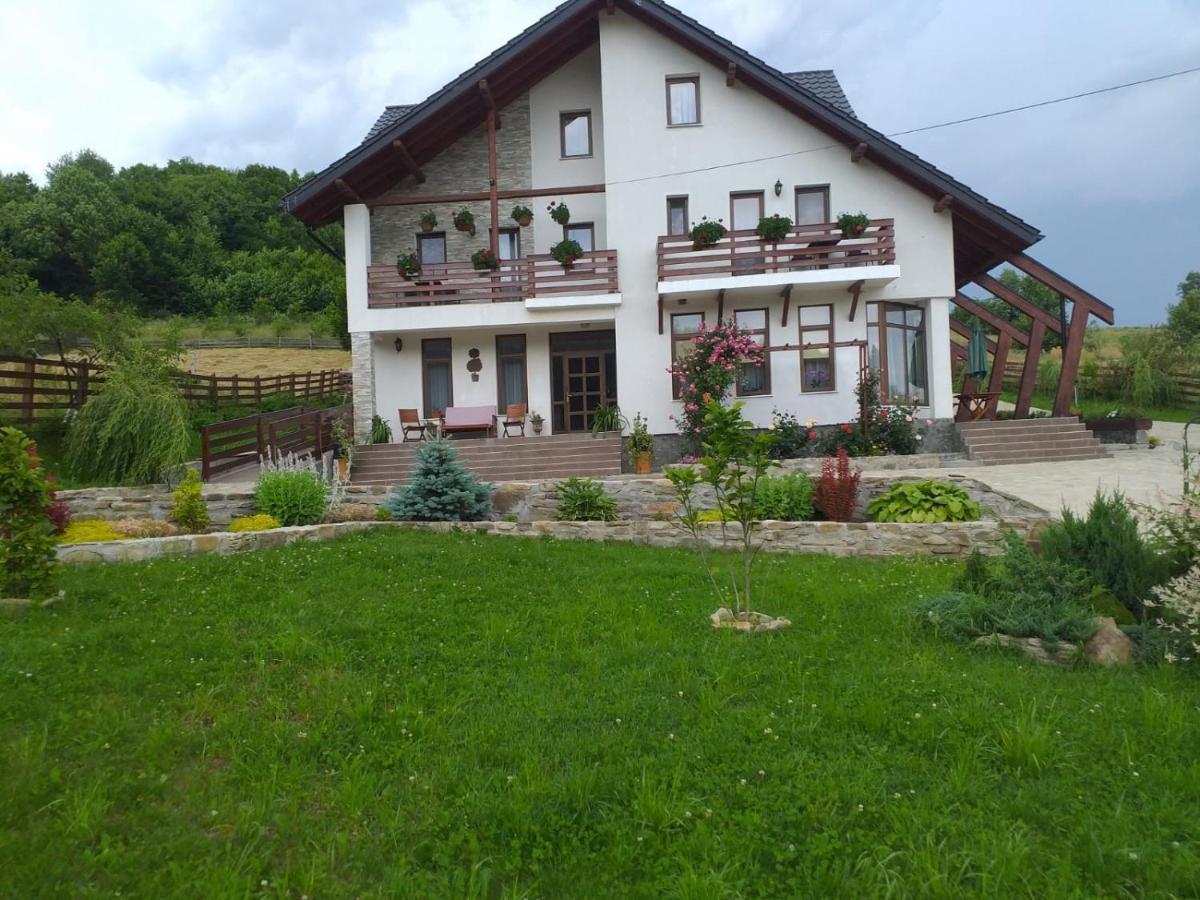 Pensiunea Doina Bucovinei Hotel Mînăstirea Humorului Bagian luar foto