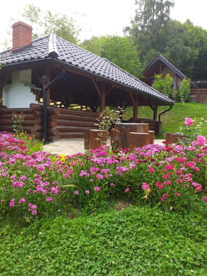 Pensiunea Doina Bucovinei Hotel Mînăstirea Humorului Bagian luar foto