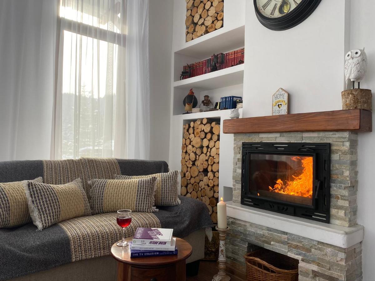 Pensiunea Doina Bucovinei Hotel Mînăstirea Humorului Bagian luar foto