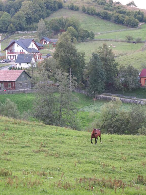 Pensiunea Doina Bucovinei Hotel Mînăstirea Humorului Bagian luar foto