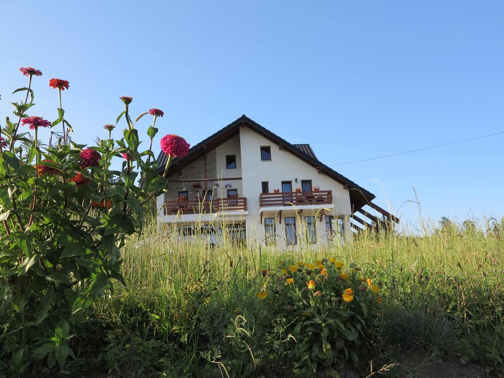 Pensiunea Doina Bucovinei Hotel Mînăstirea Humorului Bagian luar foto