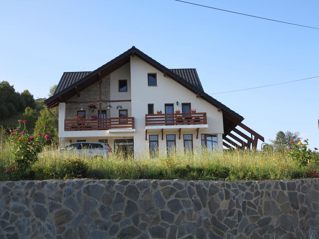 Pensiunea Doina Bucovinei Hotel Mînăstirea Humorului Bagian luar foto